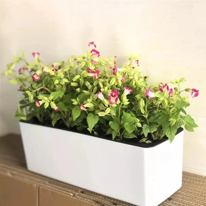 Hydroponic Grow Pod - أصيص زهور مستطيل كسول بوعاء زهور