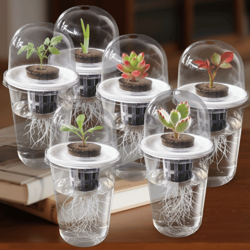 Hydroponic Grow Pod - 1-5 قطع أكواب شفافة لنمو النباتات،
