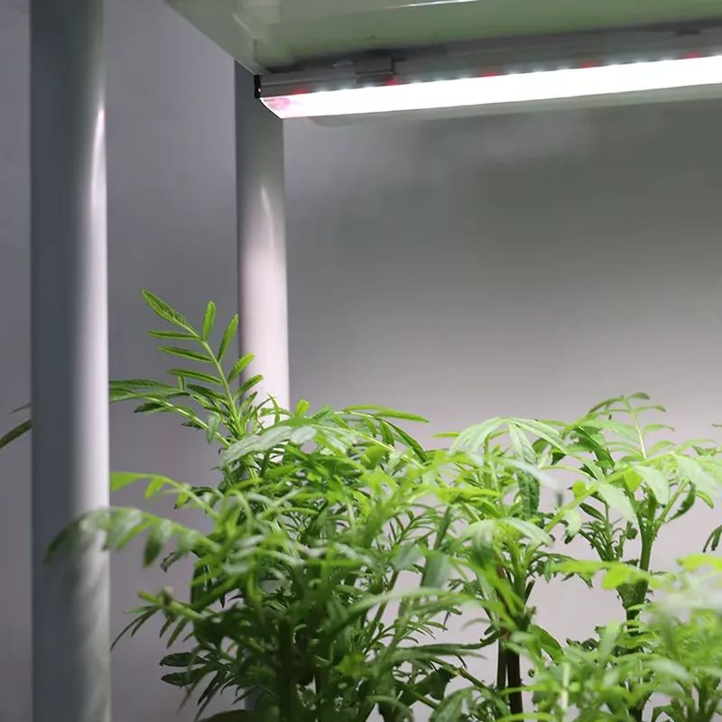 نظام زراعة عمودي متحرك بثلاثة  - مراجعة Self Watering Planter وسعره