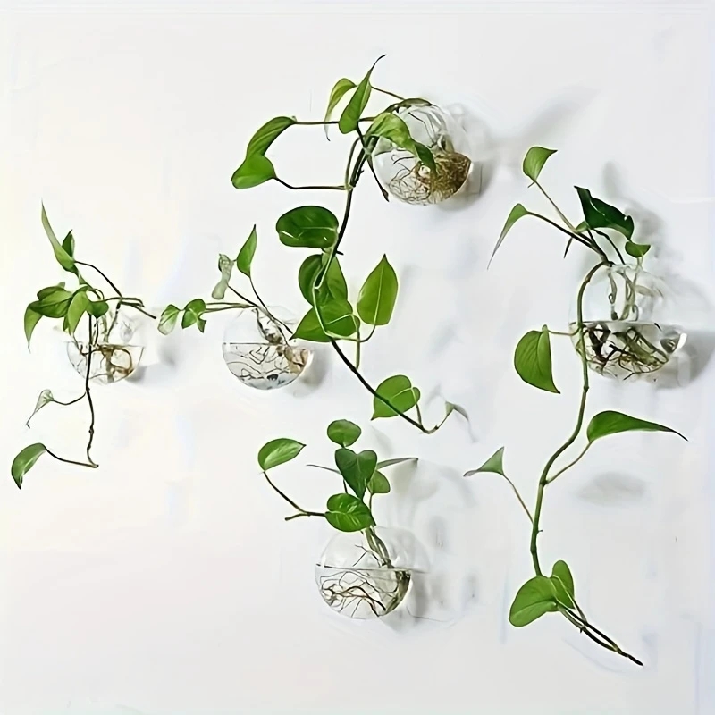2/4/6 قطع من التيراريوم الزجاج - مراجعة Self Watering Planter وسعره