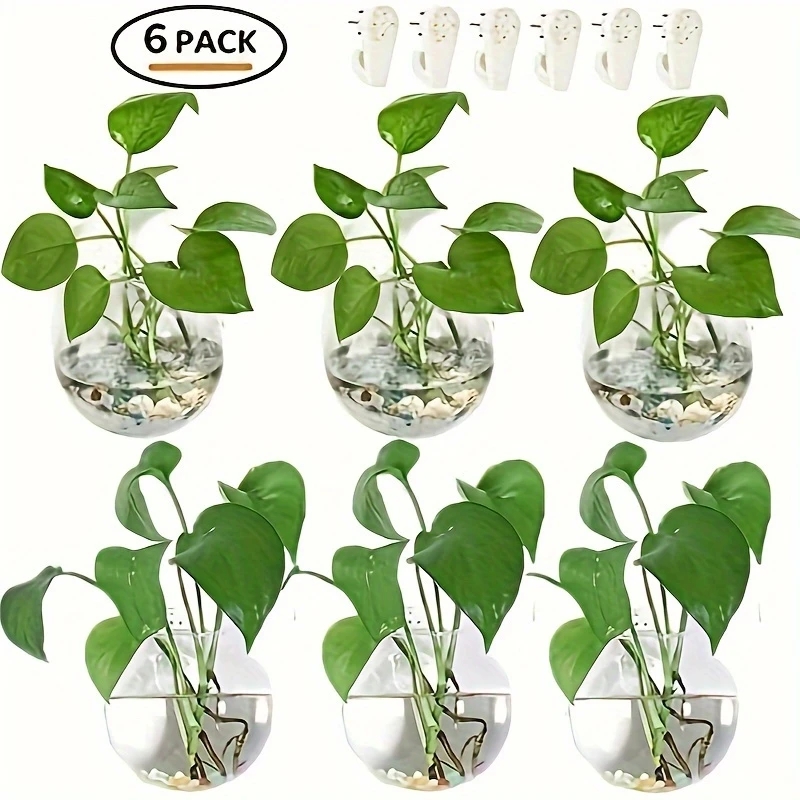 2/4/6 قطع من التيراريوم الزجاج - مراجعة Self Watering Planter وسعره