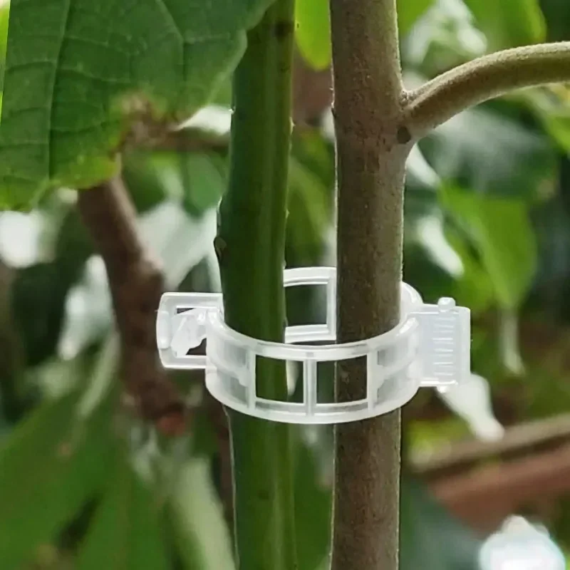 مشابك دعم النباتات قابلة لإعاد - مراجعة Smart Garden Kit وسعره