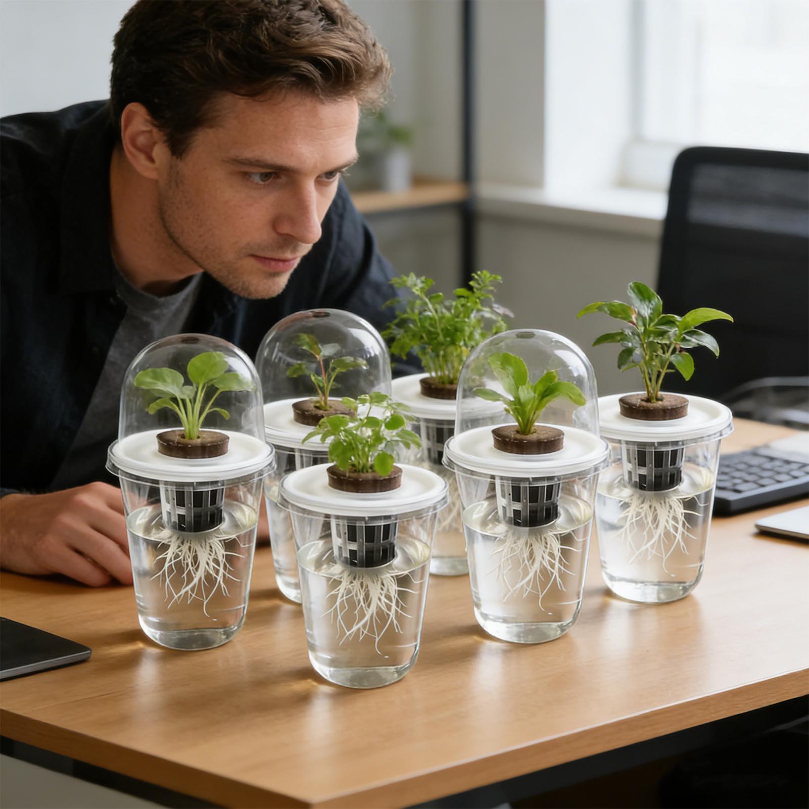 1-5 قطع أكواب شفافة لنمو النبا - مراجعة Hydroponic Grow Pod وسعره