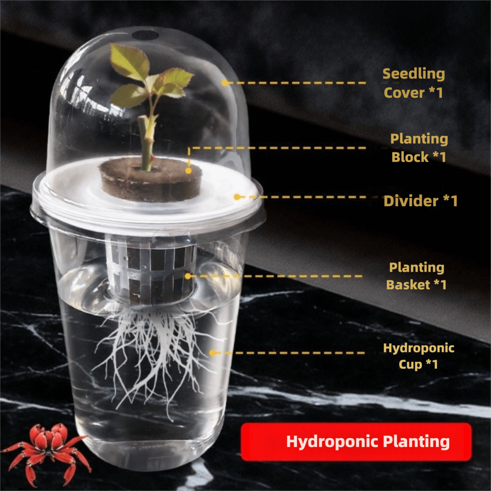 1-5 قطع أكواب شفافة لنمو النبا - مراجعة Hydroponic Grow Pod وسعره
