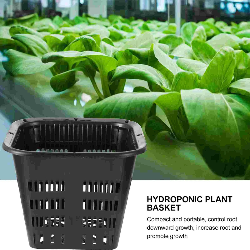 6 قطع من سلال الزراعة المائية، - مراجعة Hydroponic Grow Pod وسعره
