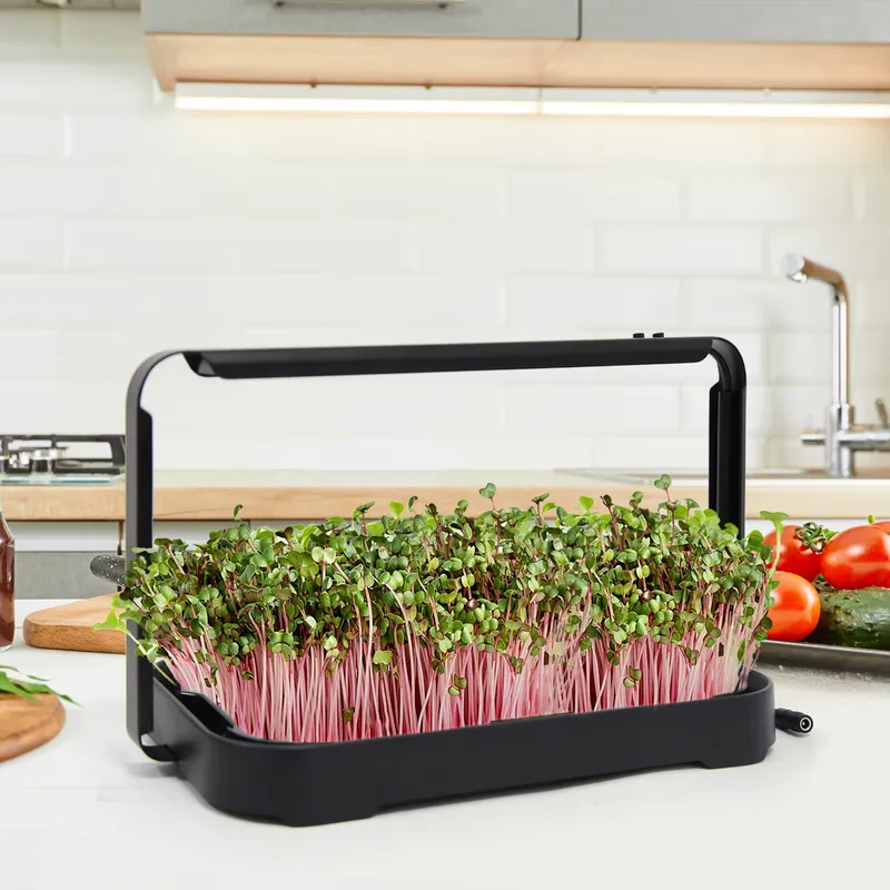 صينية زراعة مائية داخلية، نظام - مراجعة Smart Garden System وسعره