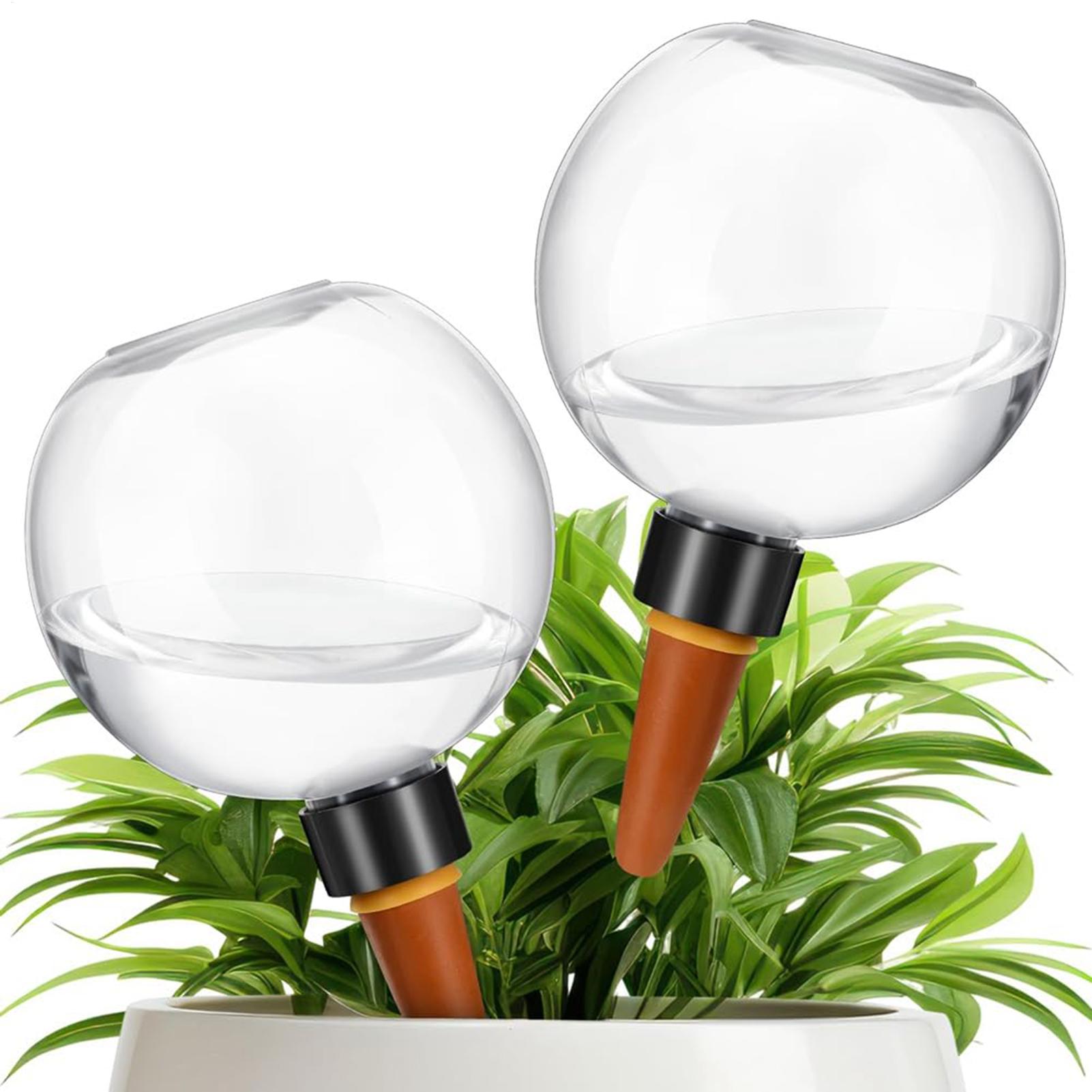 500 مللي لمبات سقي النباتات ال - مراجعة Self Watering Planter وسعره